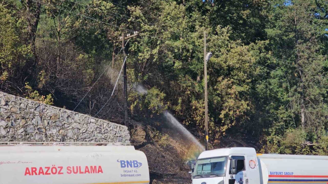 Zonguldak’ta çıkan örtü yangını kontrol altına alındı