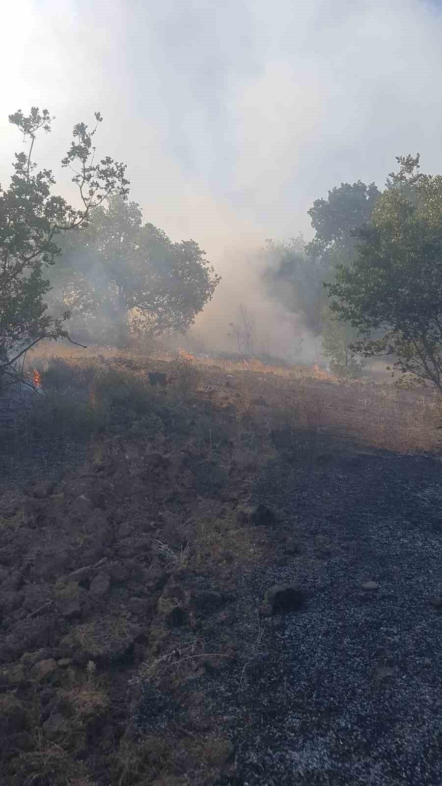Zonguldak’ta ormanlık alanda çıkan yangına ekipler müdahale etti
