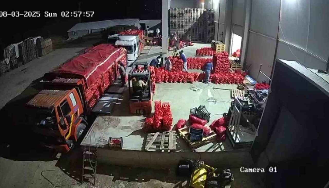 Amasya soğanı Avrupa’ya satılıyor