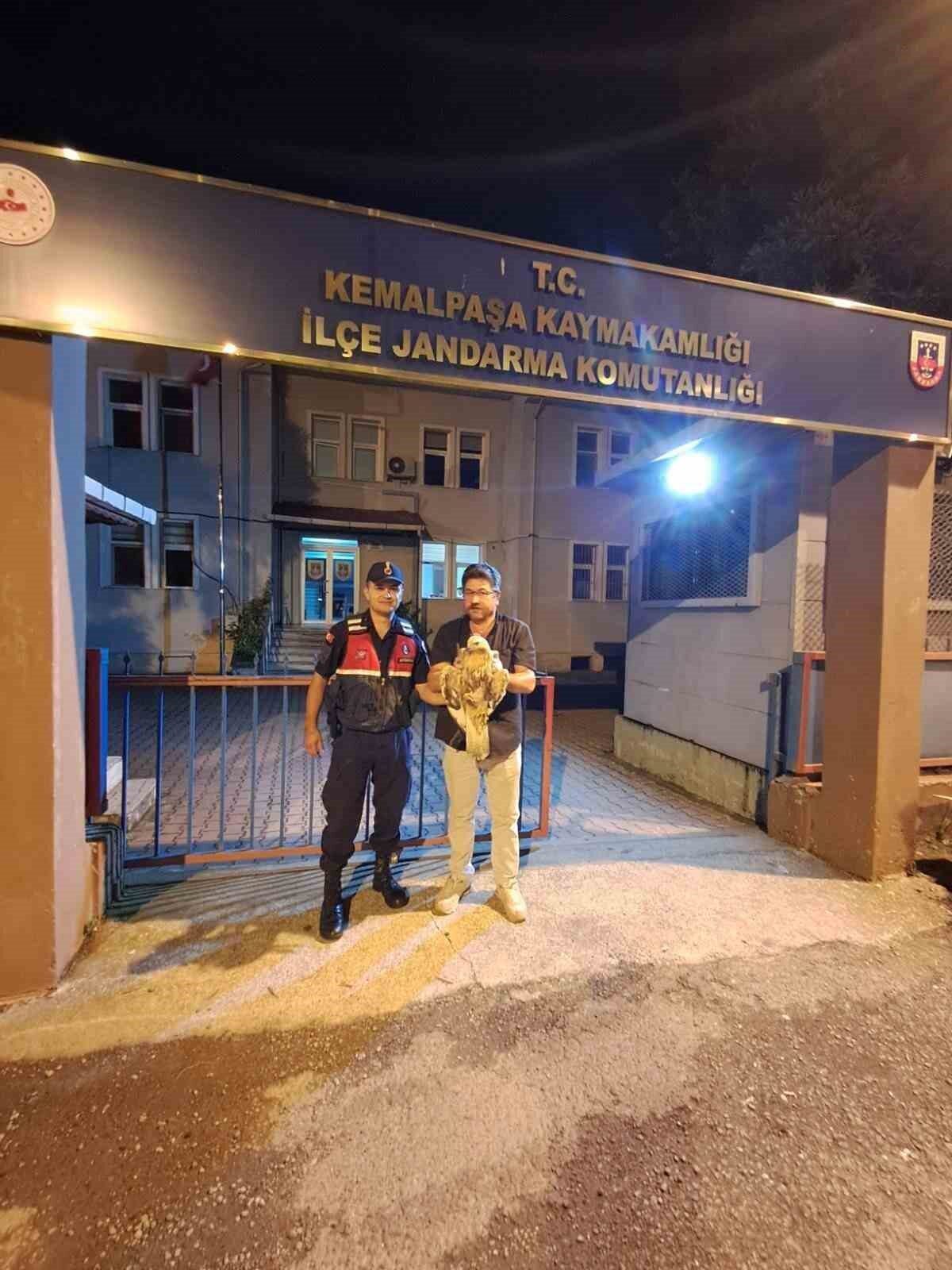 Artvin’de yaralı şahin jandarma ekiplerince kurtarıldı