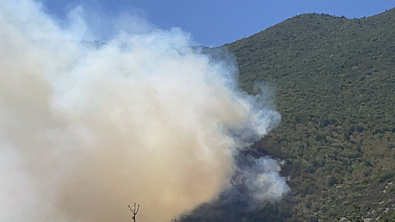 Bartın’da orman yangını çıktı