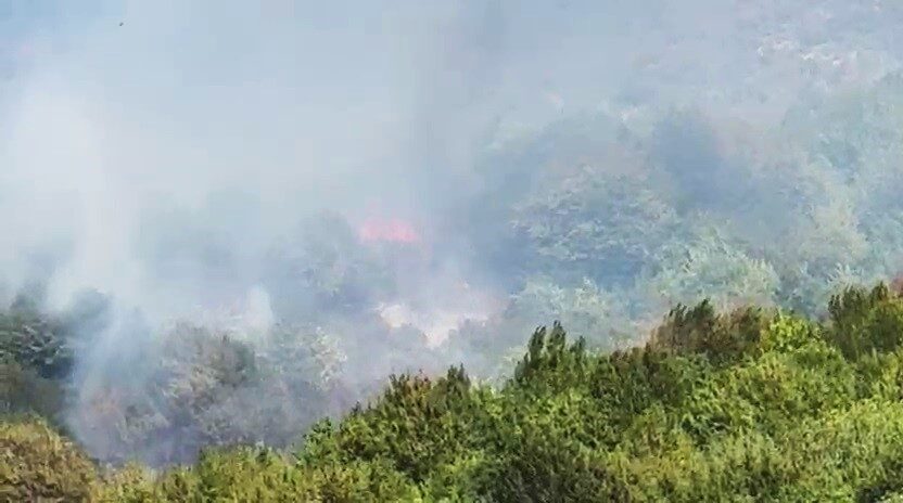 Bartın’da orman yangını çıktı