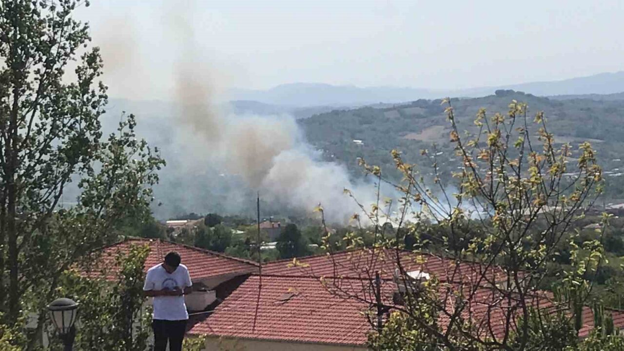 Bartın’da peş peşe yangınlar çıktı