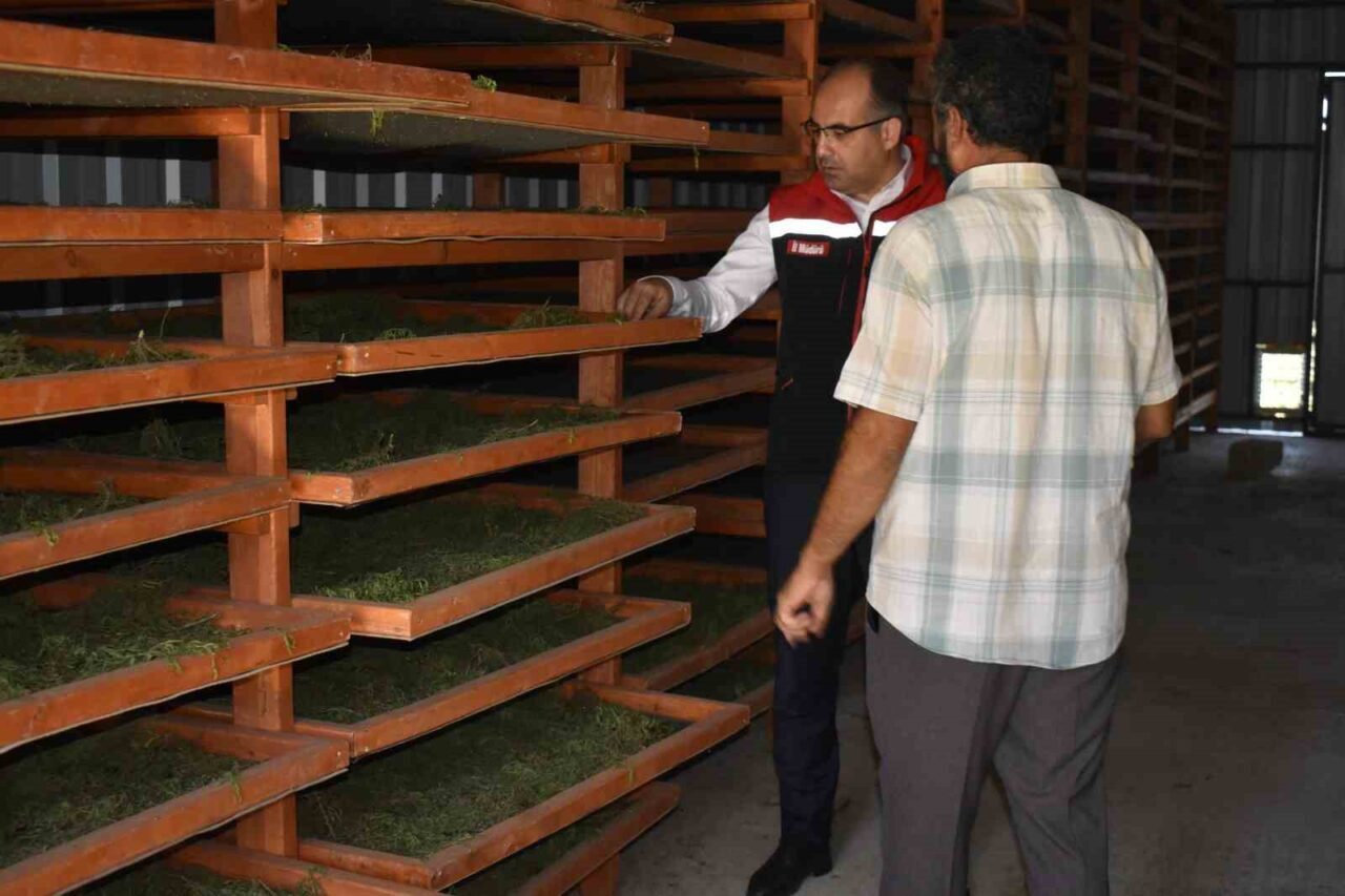 Bayburt’ta Tarhun Kurutma Tesisi ve üretim alanları incelendi