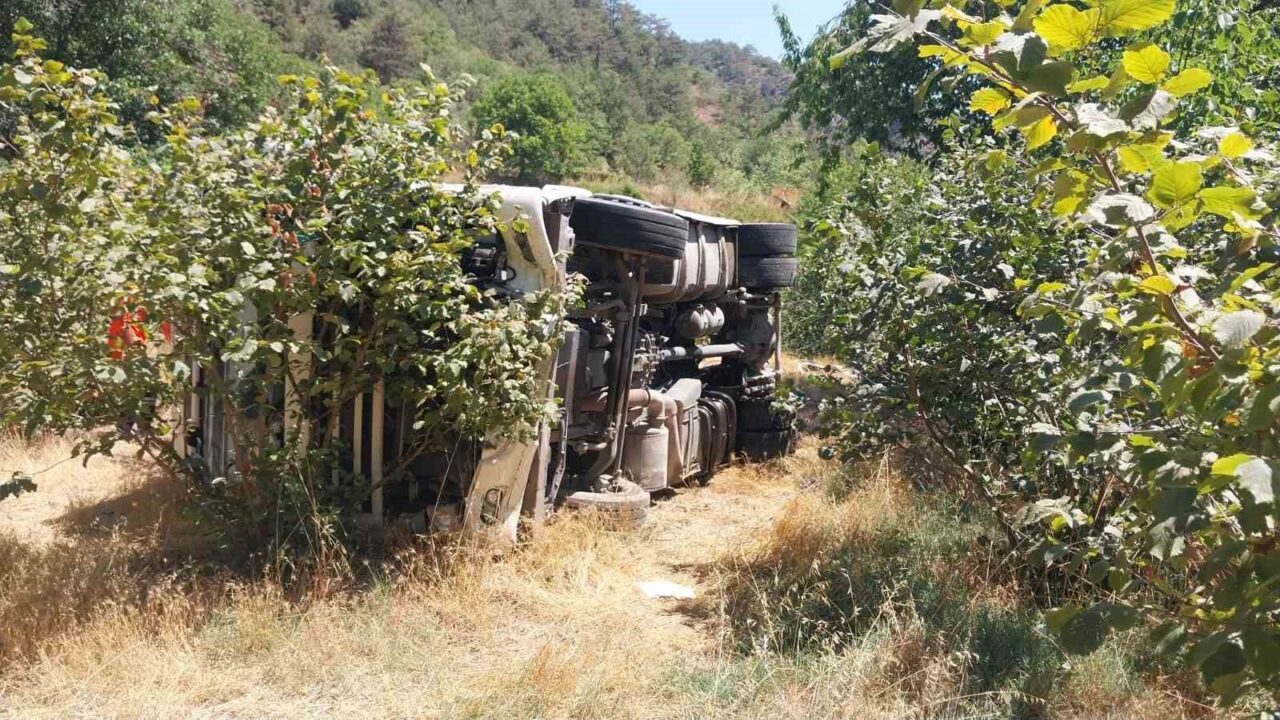 Bolu’da kontrolden çıkan tır fındık bahçesine devrildi