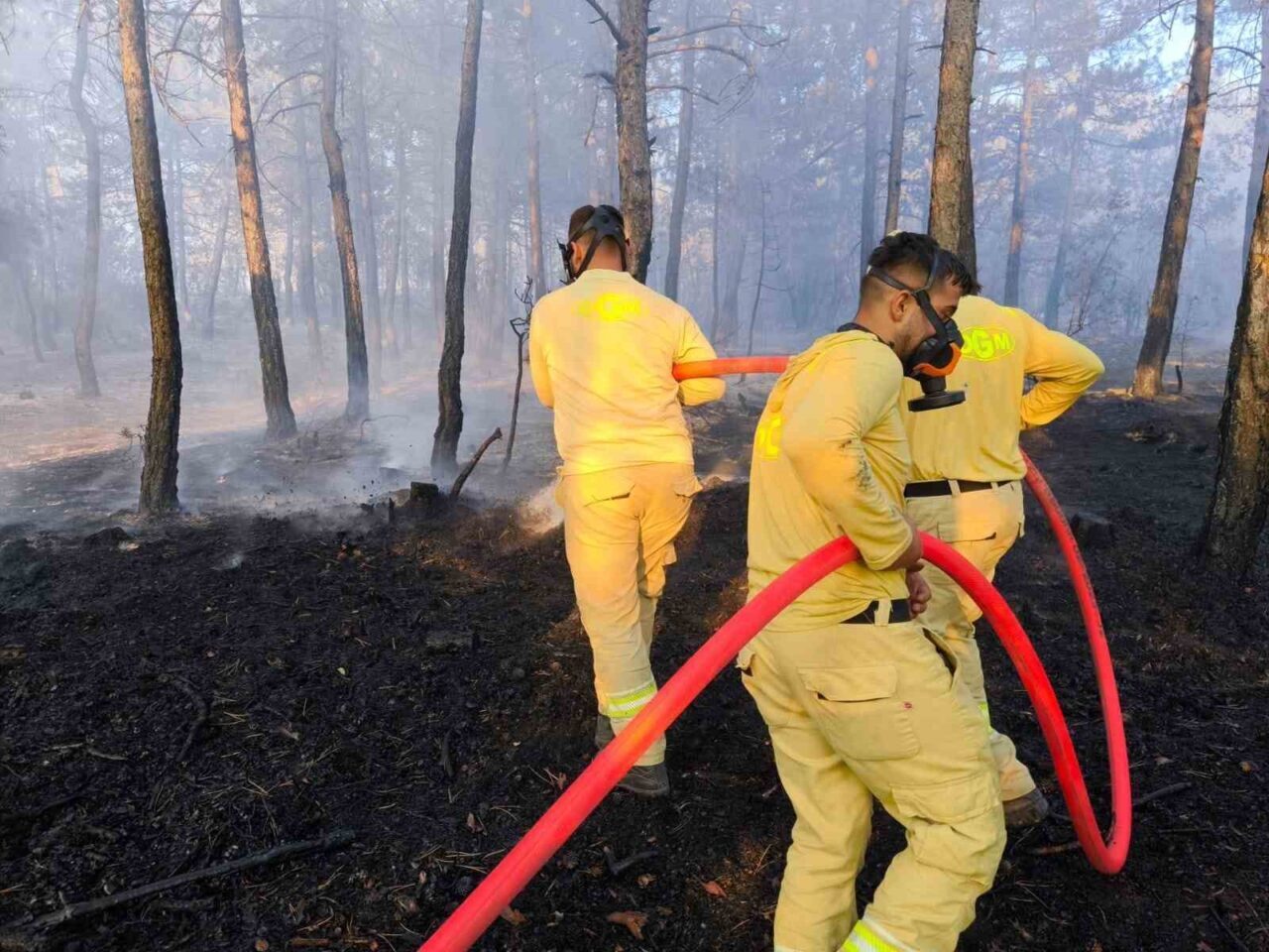 Bolu’da küle dönen 20 hektar ormanda, soğutma çalışması sürüyor