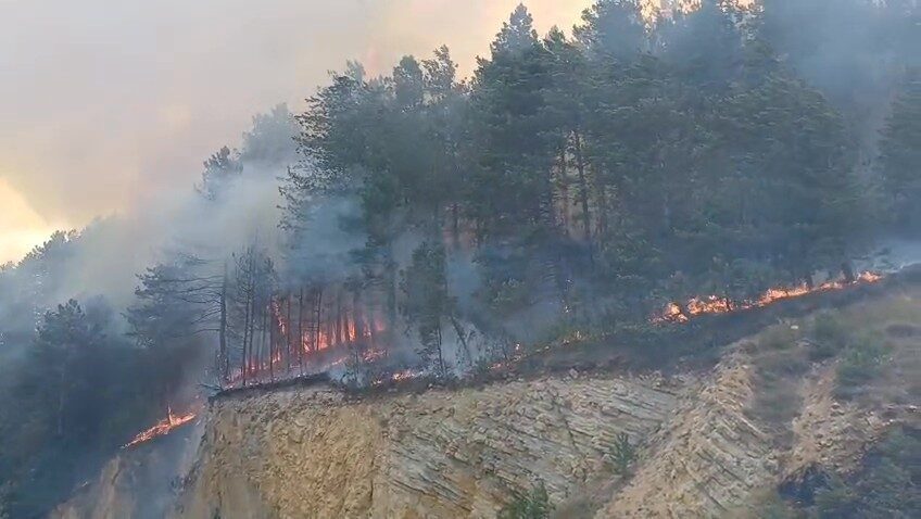 Bolu’da orman yangını başladı: Havadan ve karadan müdahale sürüyor