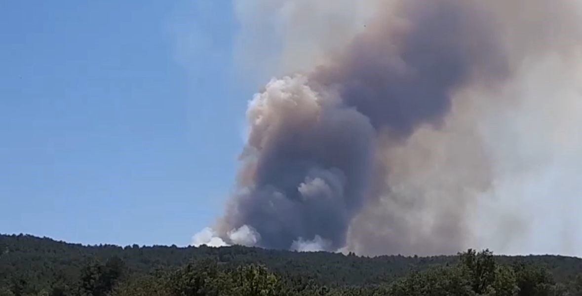 Bolu’da orman yangını başladı