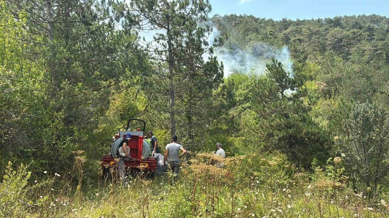 Bolu’da ormanlık alanda yangın başladı