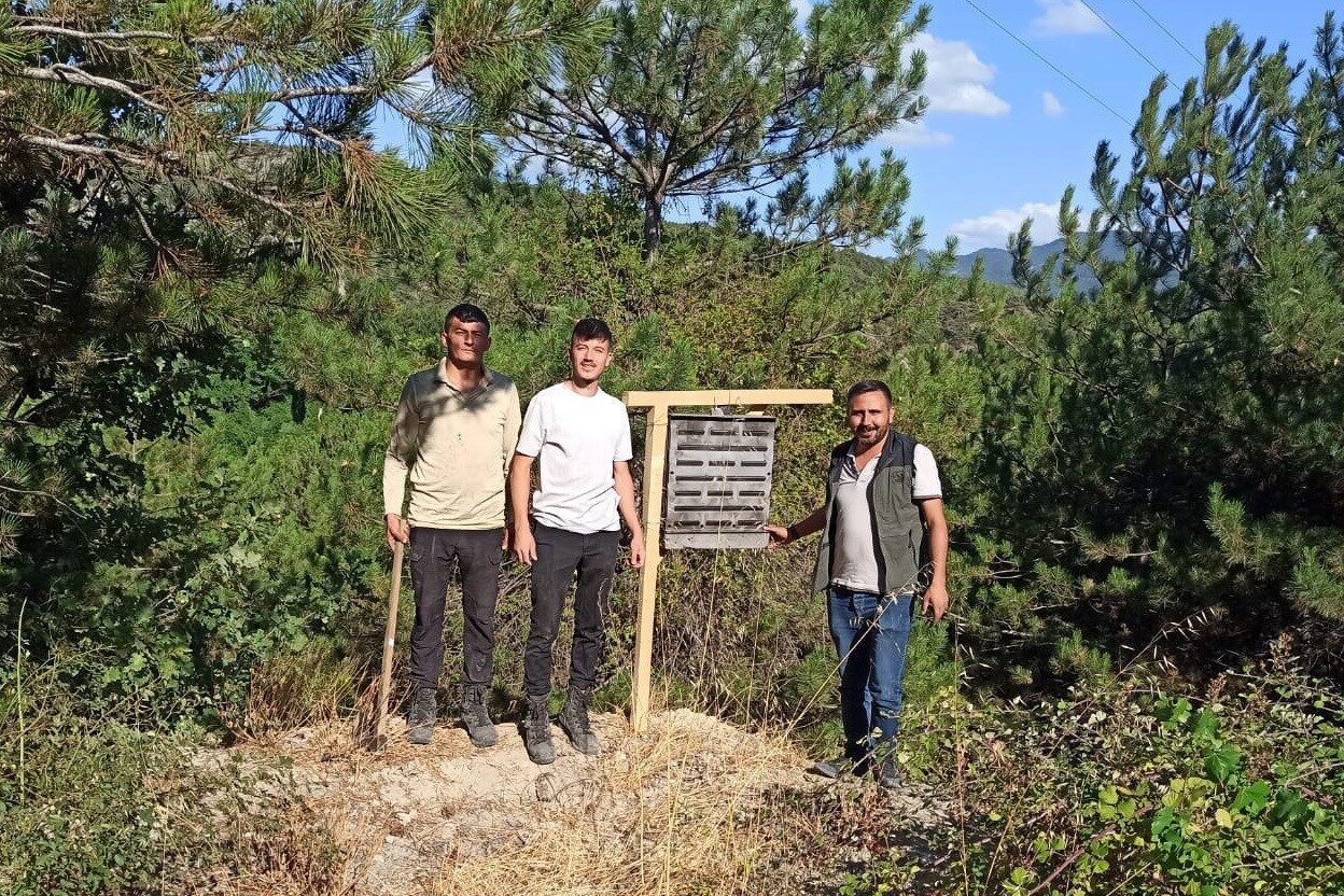 Bolu’da yanan ormanlık alanlara feromon tuzakları asıldı