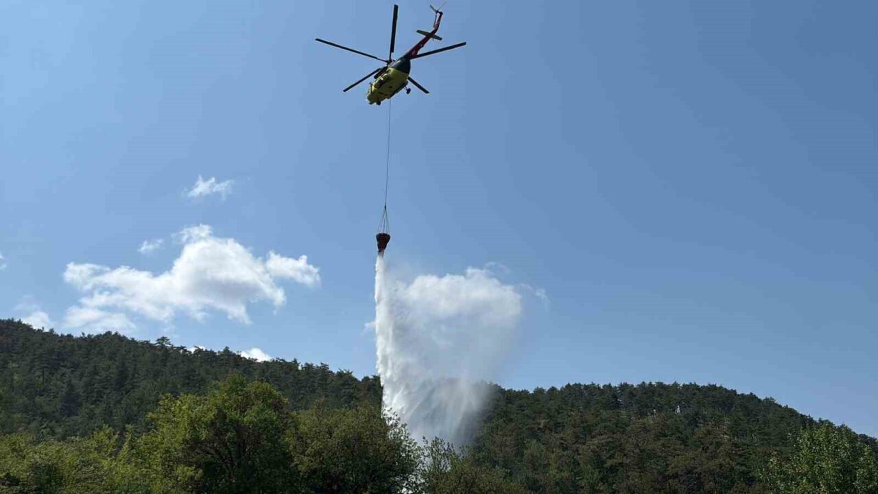 Bolu’daki orman yangını kısa sürede kontrol altına alındı