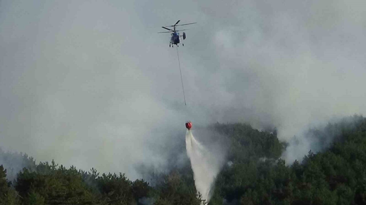 Bolu’daki orman yangını kısmen kontrol altında: 2 gözaltı