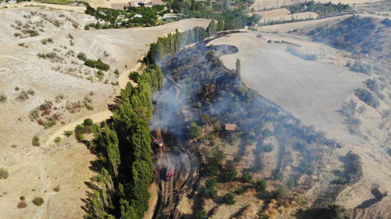 Çorum’da tarlada çıkan yangın kontrol altına alındı, 1 kişi yaralandı