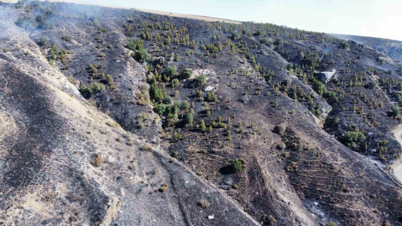 Çorum’daki orman yangını kontrol altına alındı