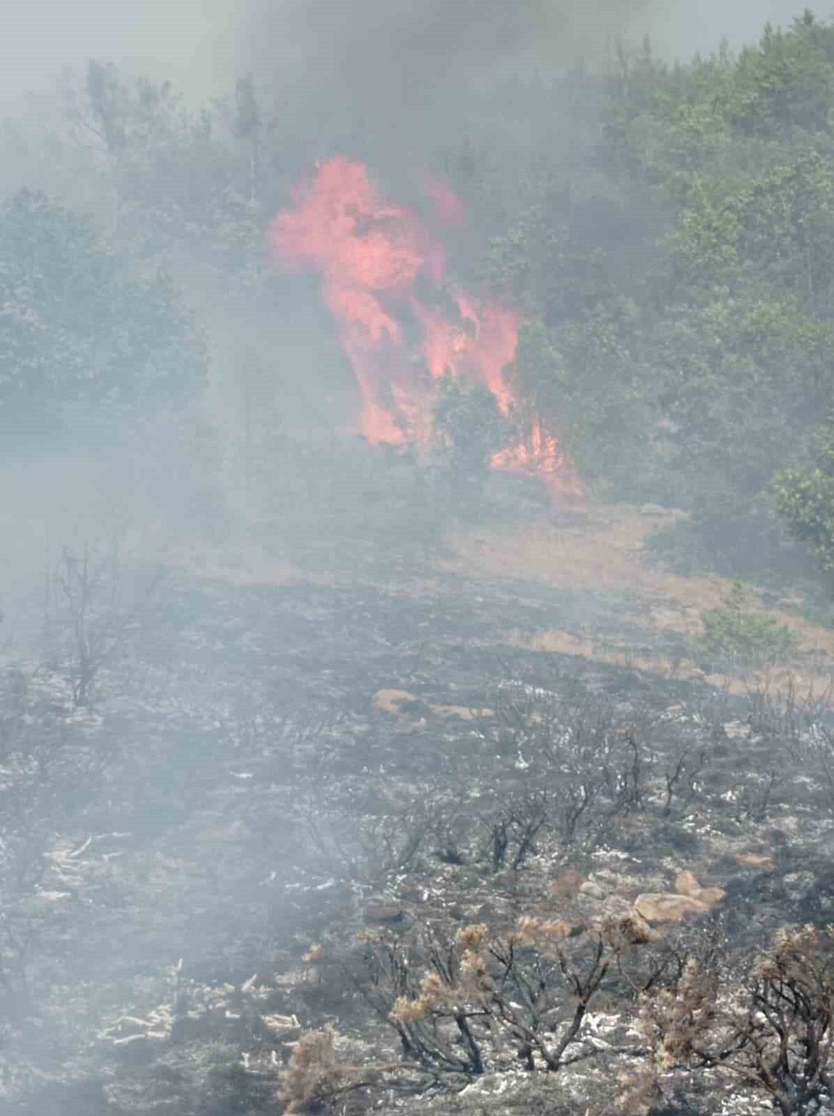 Gümüşhane’de çobanın yaktığı ateş yangına sebep oldu