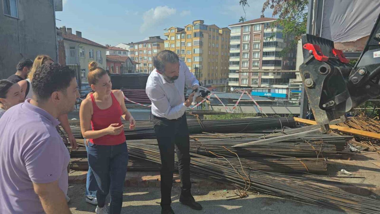 İnşaat demirlerinin altına sıkışan kediyi kurtarmak için zamanla yarıştılar