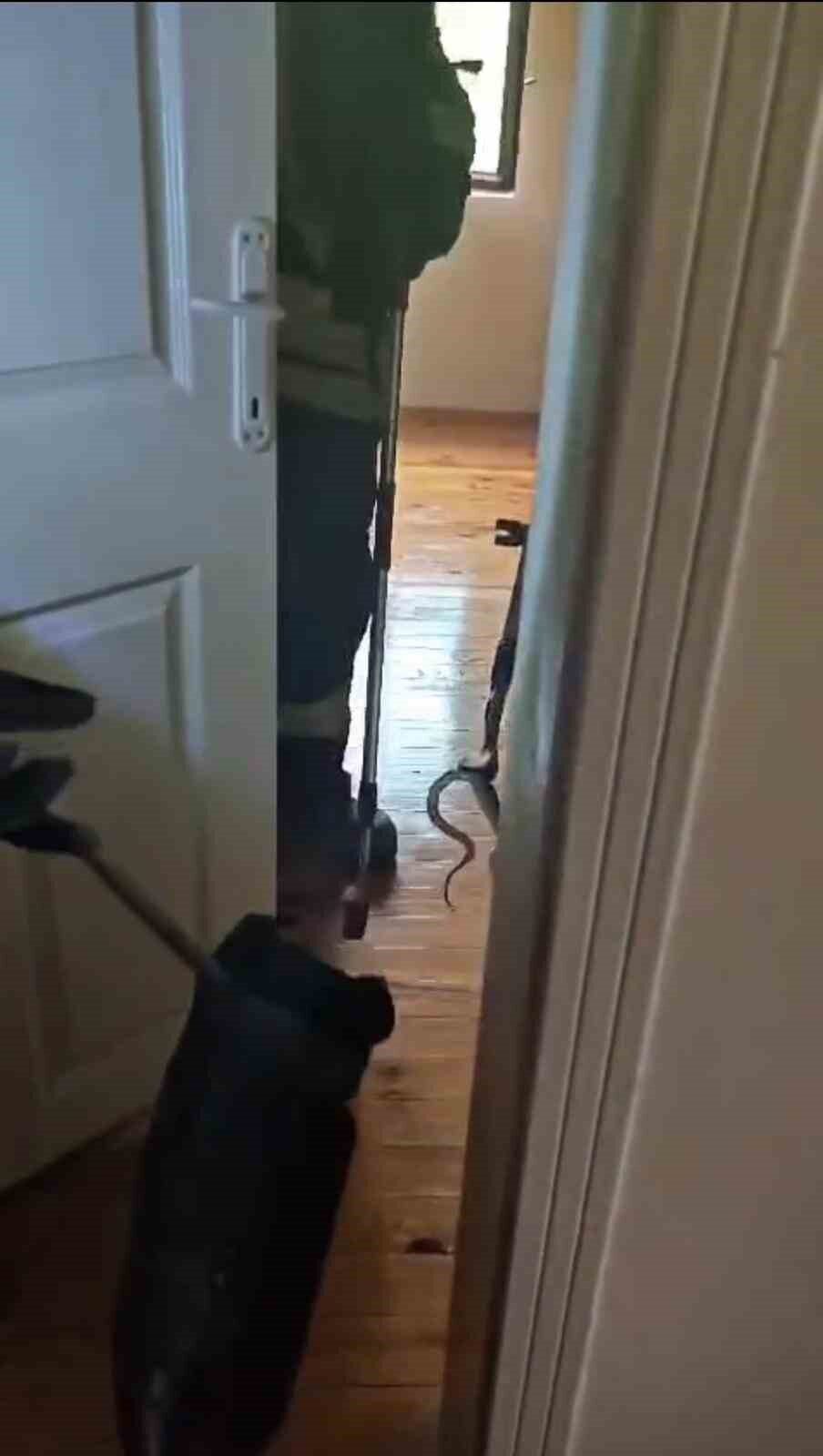 Karabük’te eve giren yılan itfaiye ekiplerince yakalanarak doğaya salındı