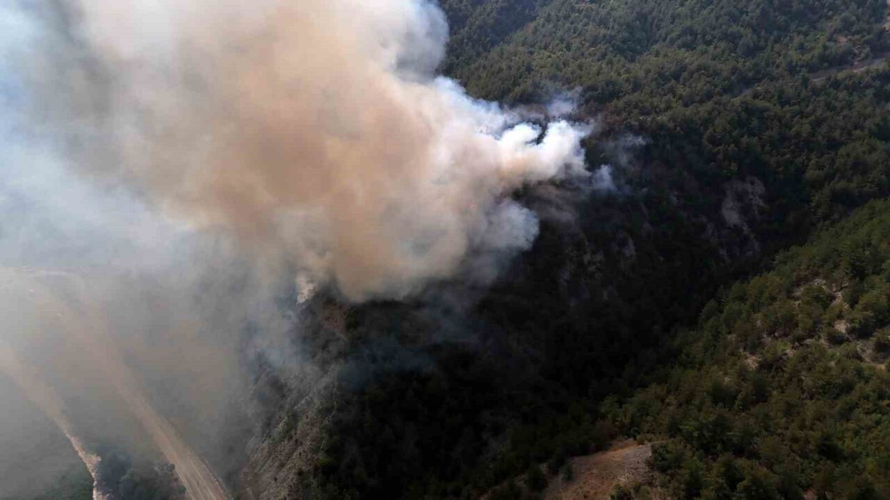 Karabük’te orman yangını çıktı