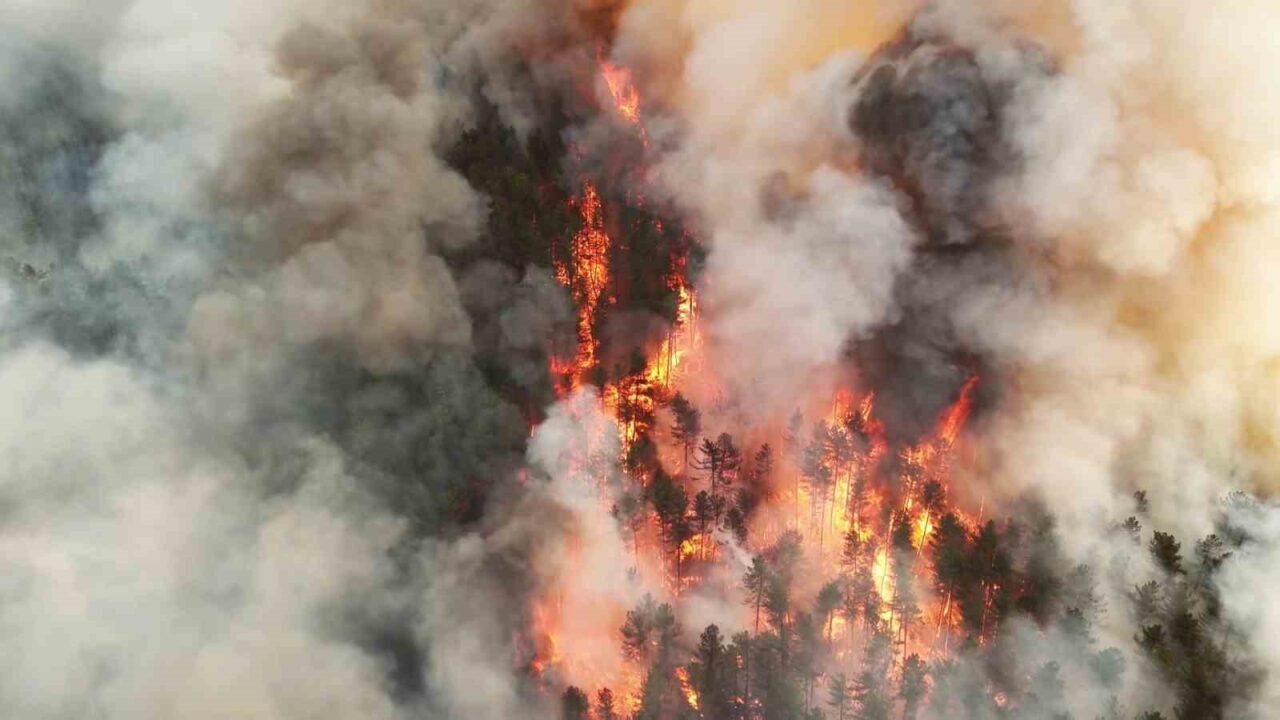 Karabük’te orman yangını nedeniyle bir mahalle boşaltıldı