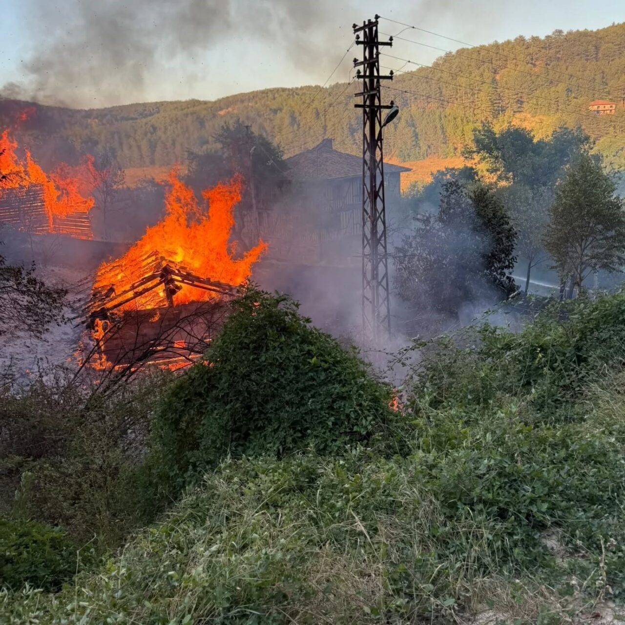 Kastamonu’da alevlere telim olan iki samanlık yandı