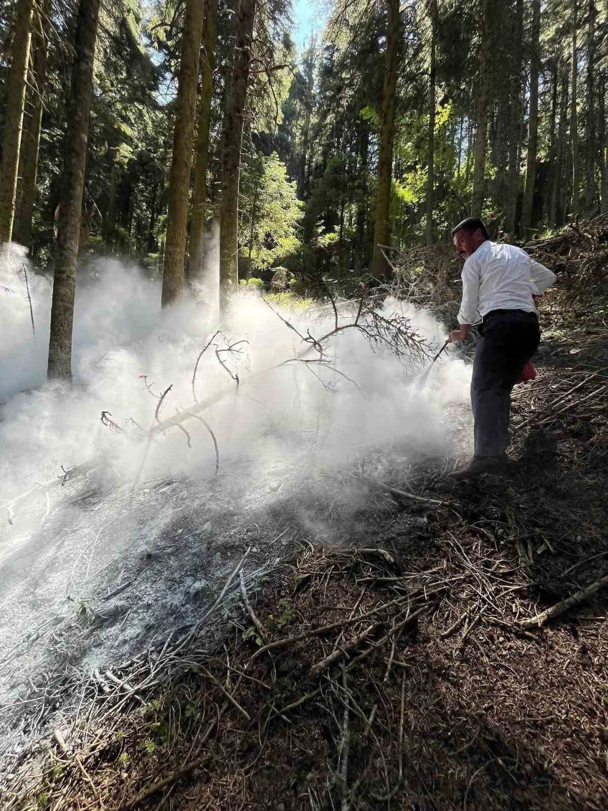 Kastamonu’da çıkan orman yangını büyümeden söndürüldü