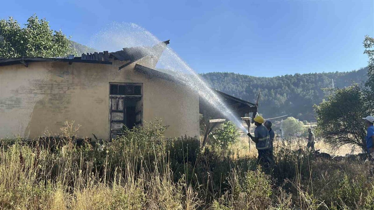 Kastamonu’da korkutan yangın: Samanlık, odunluk ve 30 dönüm arazi yandı