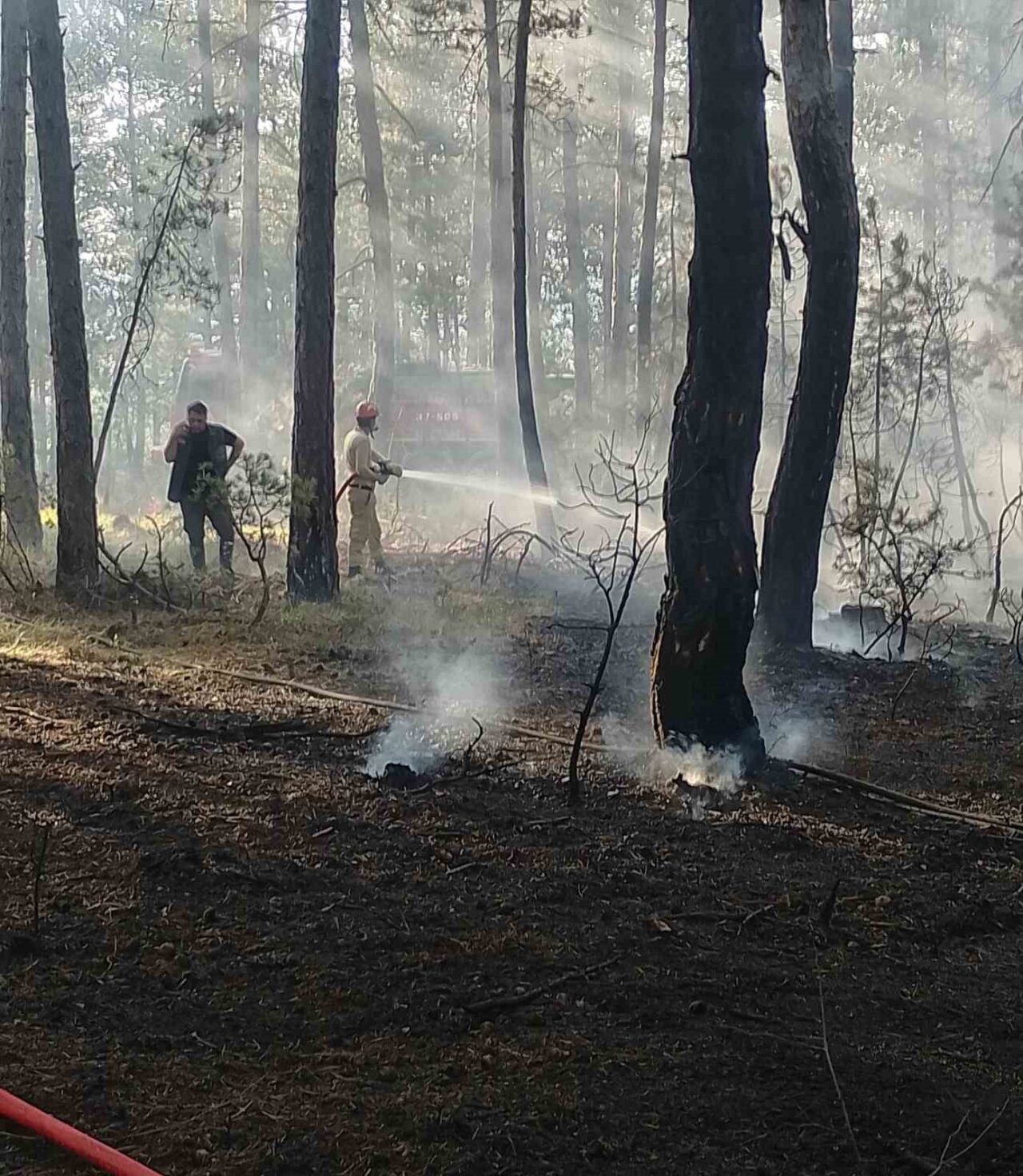 Kastamonu’da ormanlık alanda çıkan yangın büyümeden söndürüldü