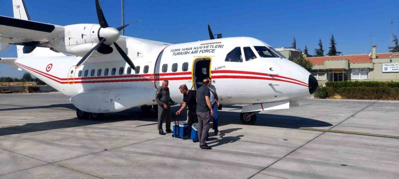 Kazada ölen gencin karaciğeri 12 yaşındaki çocuğa umut oldu