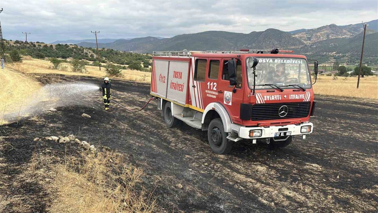 Kopan elektrik teli yangına sebep oldu: 3 dönümlük tarla zarar gördü