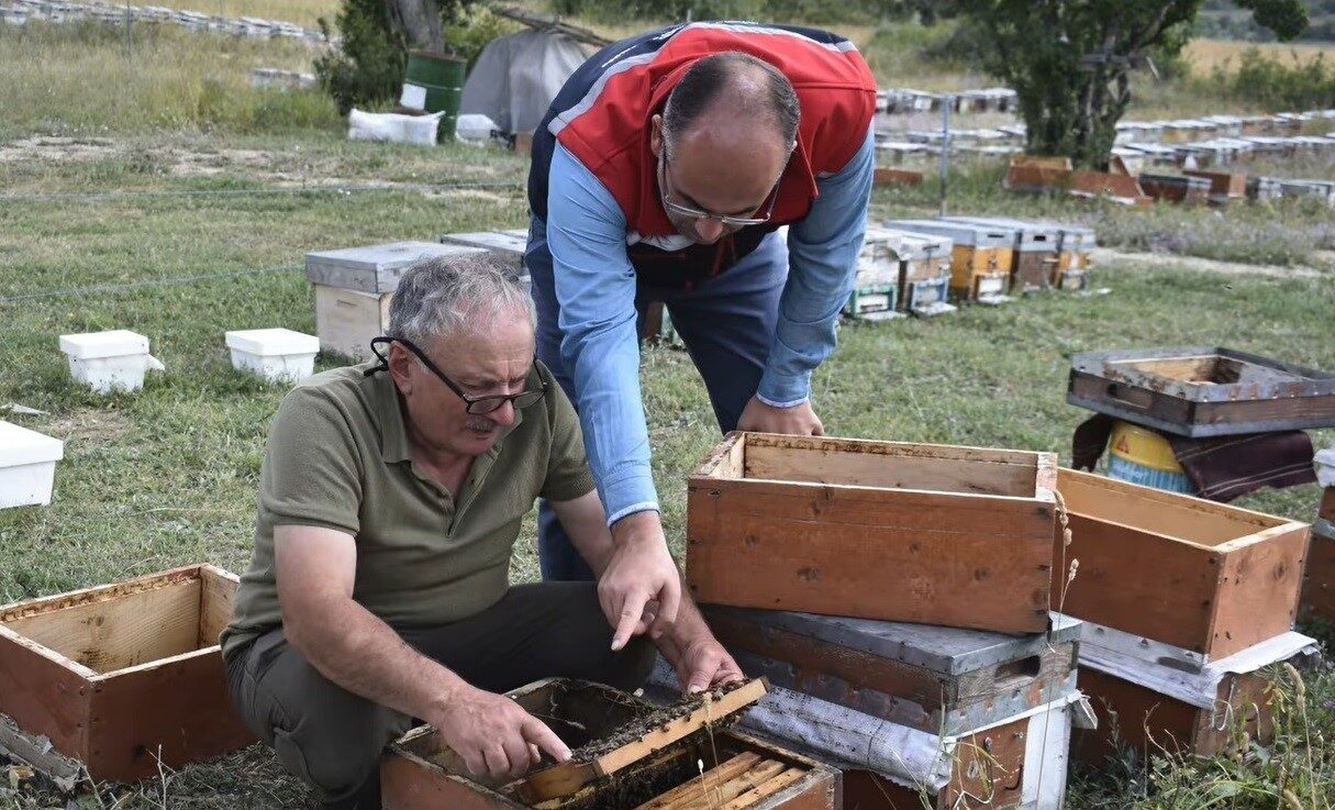 Masat köyünde bal hasadı değerlendirildi