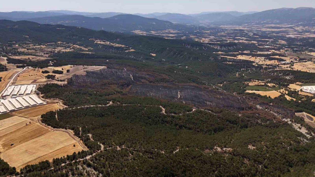 Mudurnu’daki orman yangınında 66 hektar alan kül oldu