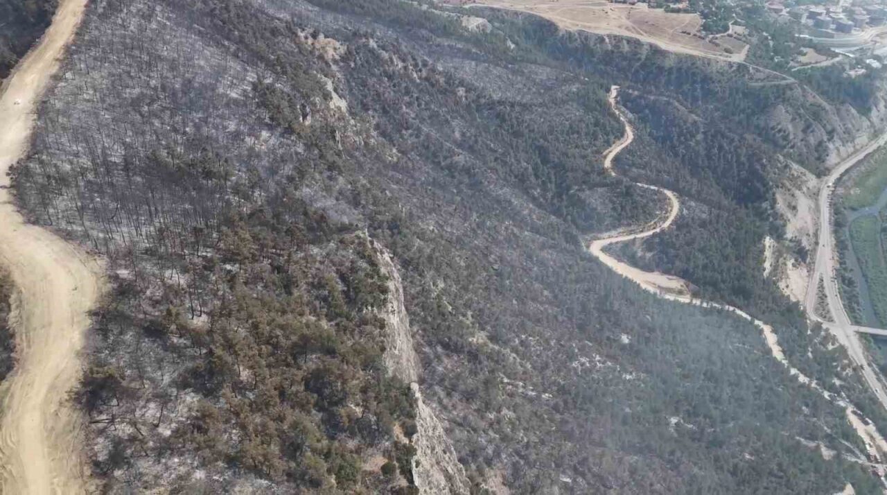 Orman yangınında zarar gören alanlar dronla görüntülendi