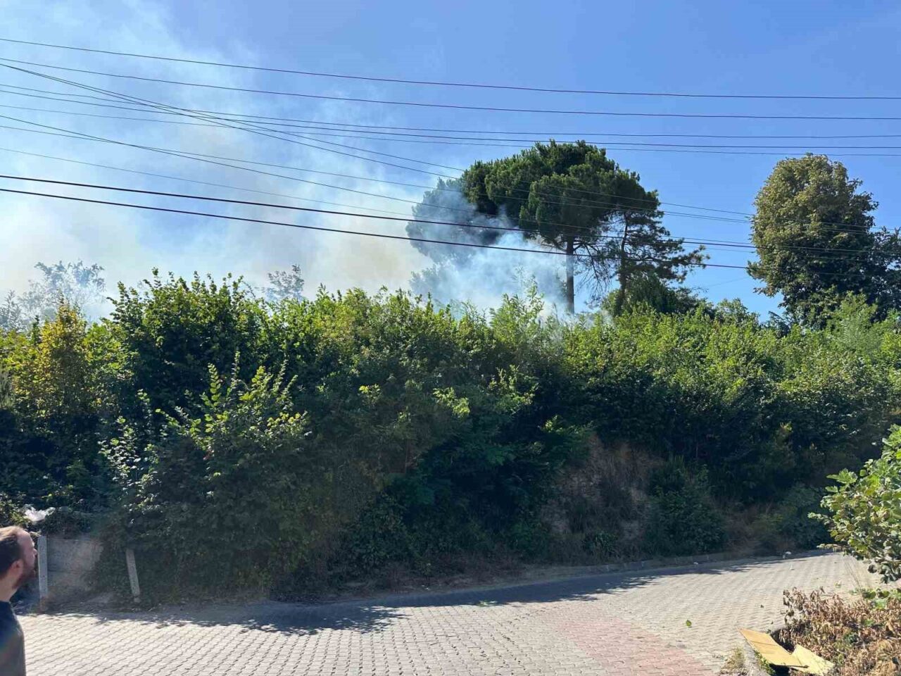 Ormanlık alanda çıkan yangın korkuttu