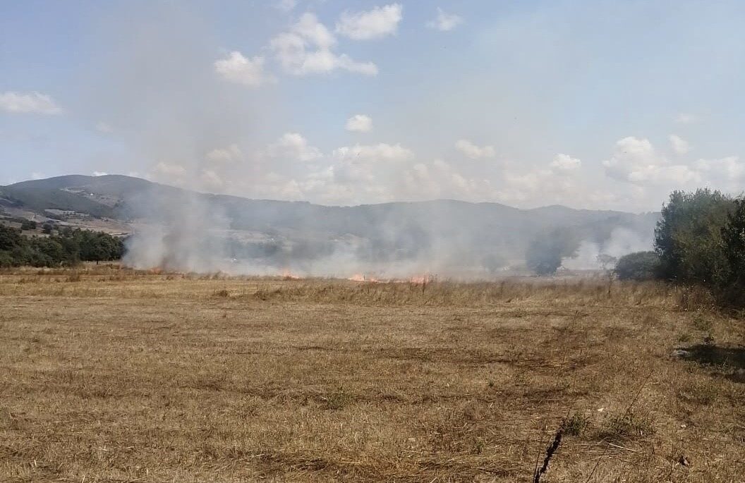 Samsun’da anız yangını ormana sıçramadan söndürüldü