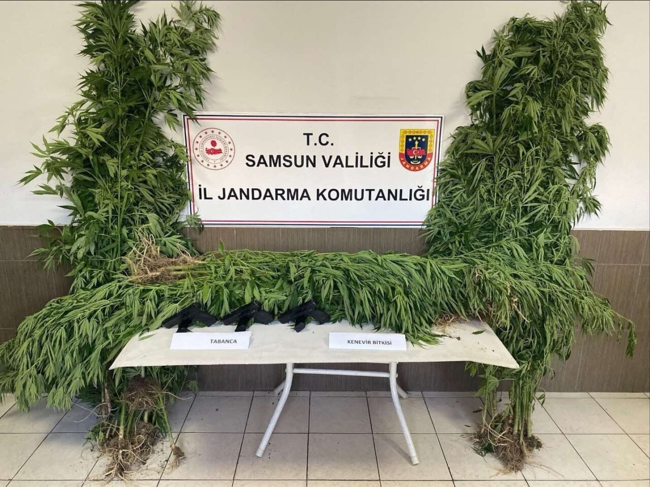 Samsun’da jandarmadan silah ve uyuşturucu operasyonları: 4 gözaltı