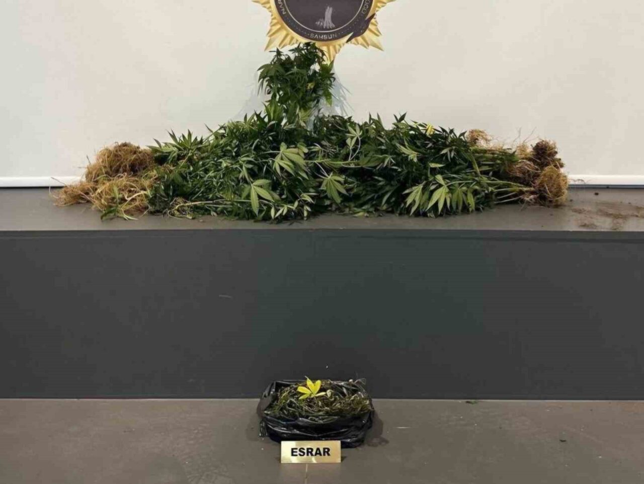 Samsun’da uyuşturucu operasyonu: 10 kişi yakalandı