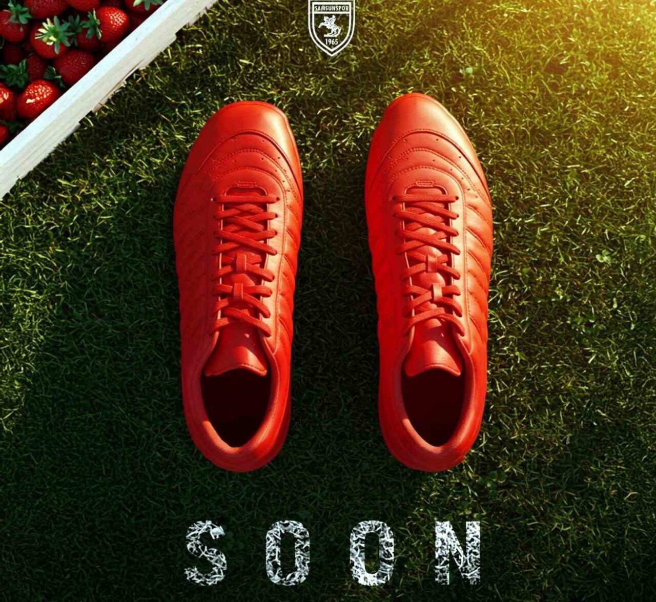 Samsunspor’un kalesi Polonyalı eldivene emanet