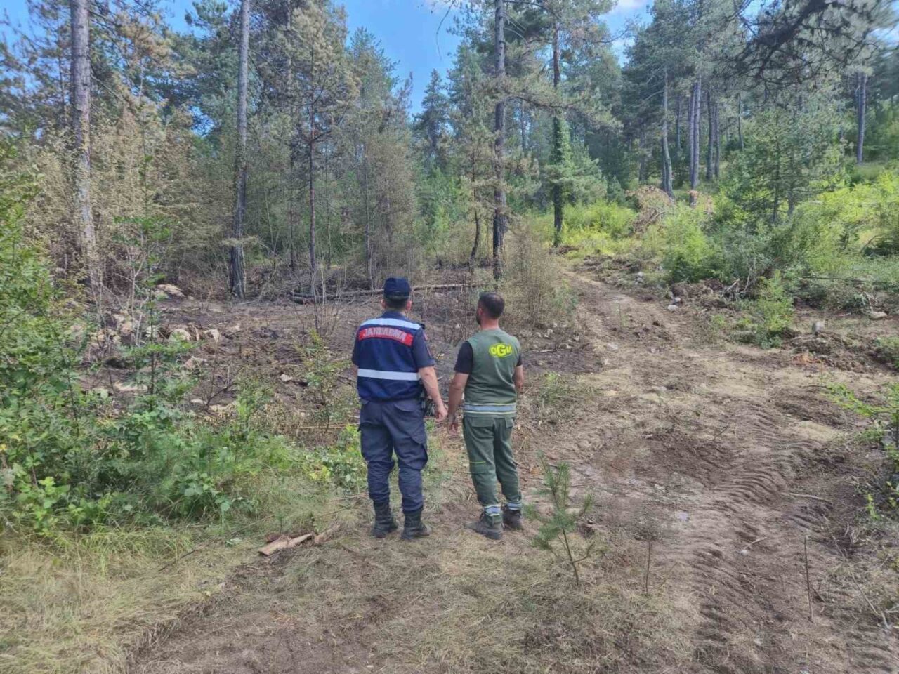 Sinop’ta jandarma orman yangınlarına karşı teyakkuzda