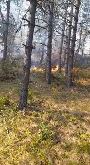 Sinop’ta orman yangını: Köy tahliye edildi