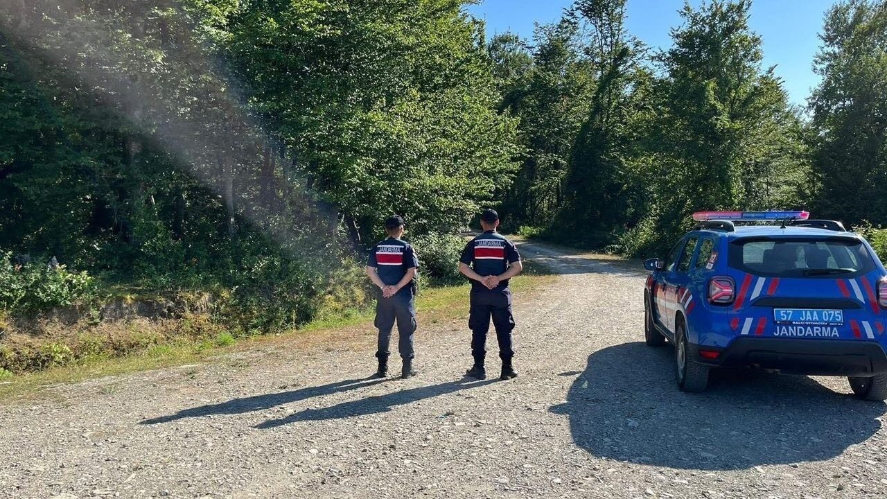 Sinop’ta ormanlık alanda ateş yakanlara ceza yağdı