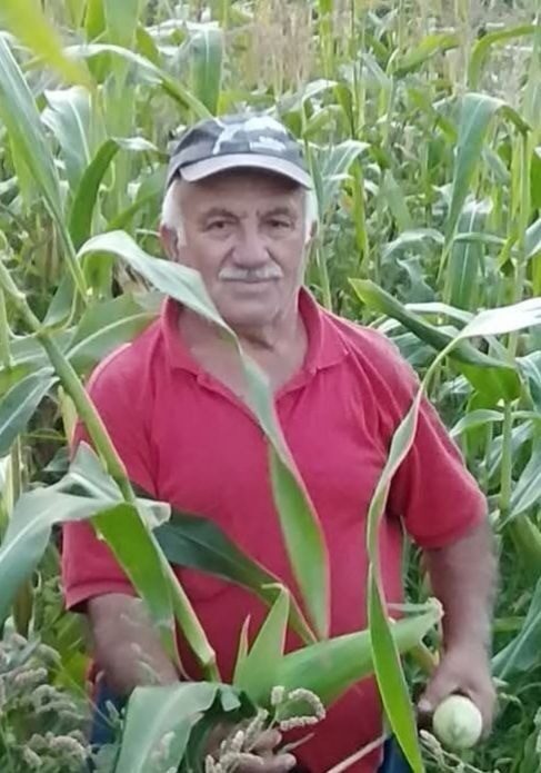 Sinop’ta traktör devrildi: 1 ölü