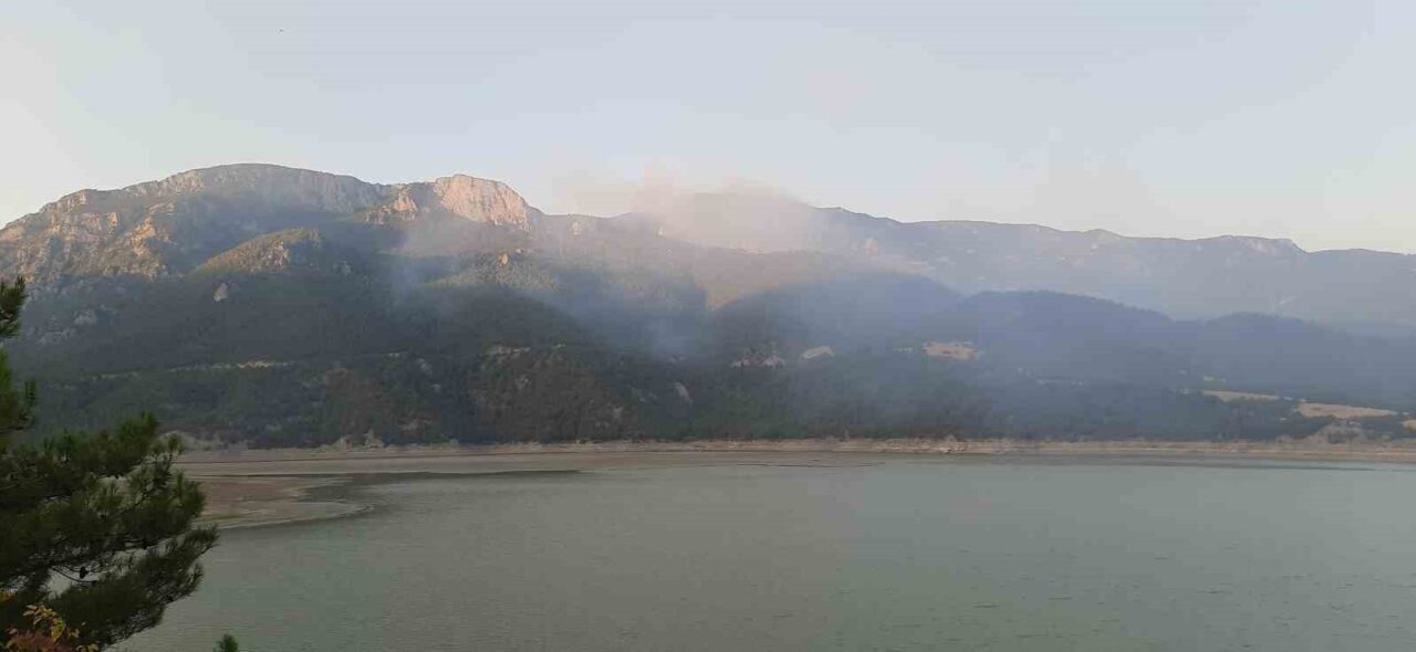 Sinop’taki orman yangınına havadan ve karadan müdahale sürüyor