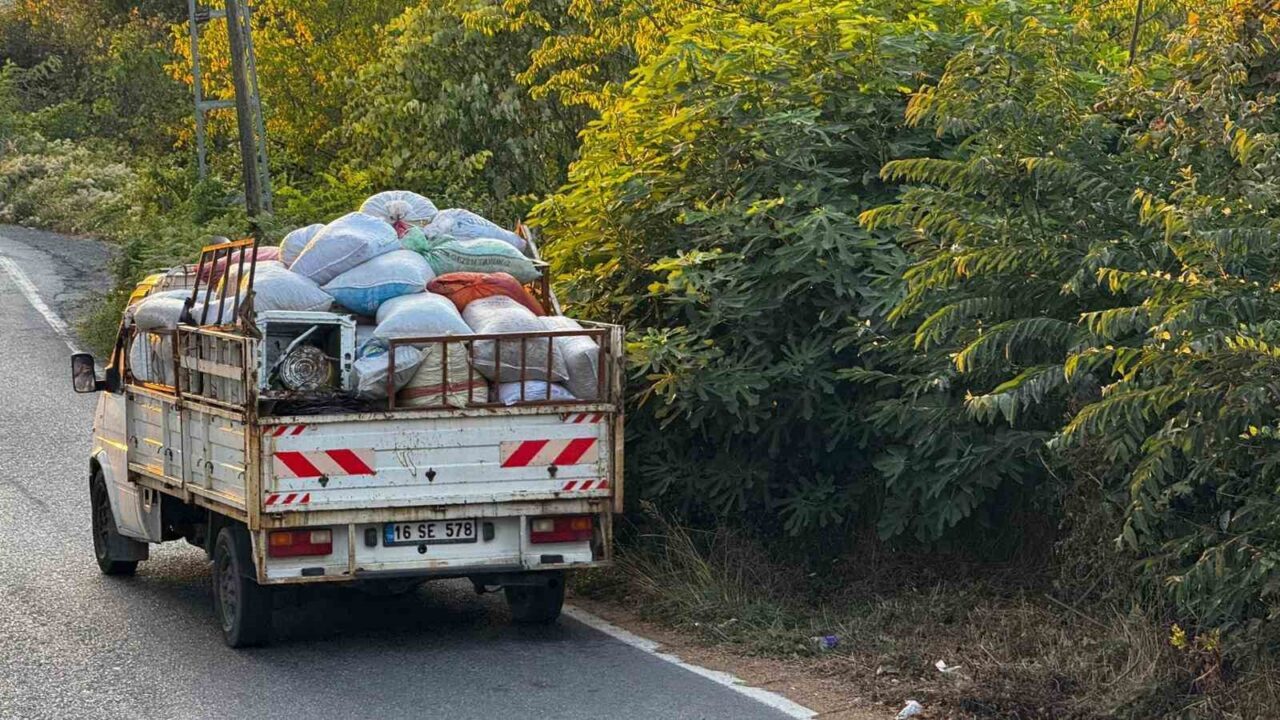 Zonguldak’ta fındık hasında köylüler fındık toplayıcıların gürültüsünden şikayetçi