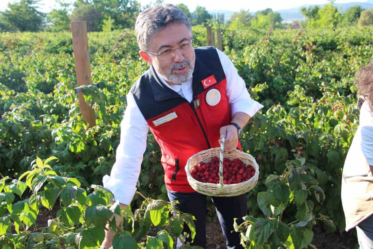 Bakan İbrahim Yumaklı: "Gençlerin katkısıyla üretim hız kazanıyor"