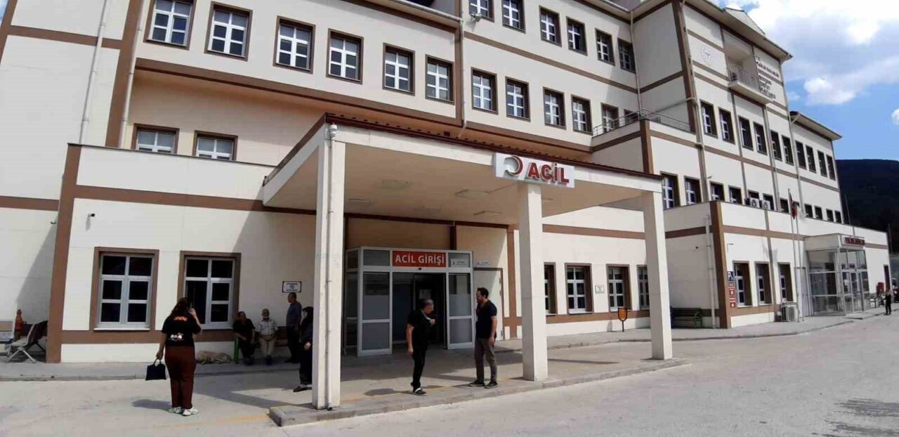 Bolu’da ayı saldırısında 1 kişi yaralandı: Saldırı sonrası av kararı