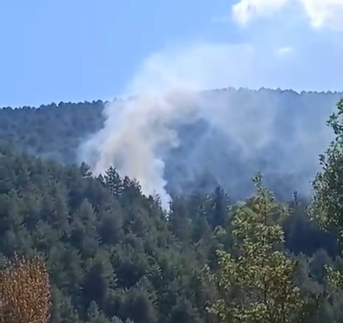 Bolu’da çıkan orman yangını kısa sürede söndürüldü