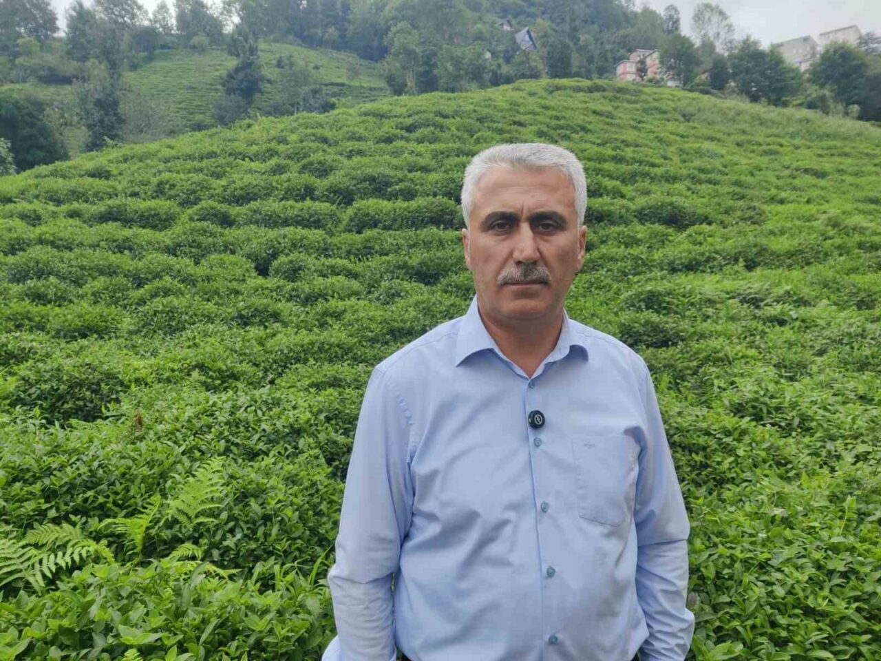 ÇAYÜDAD Başkanı Mustafa Mavi: "Bazı özel fabrikaların 3. sürgünde çay almayacağı söyleniyor"