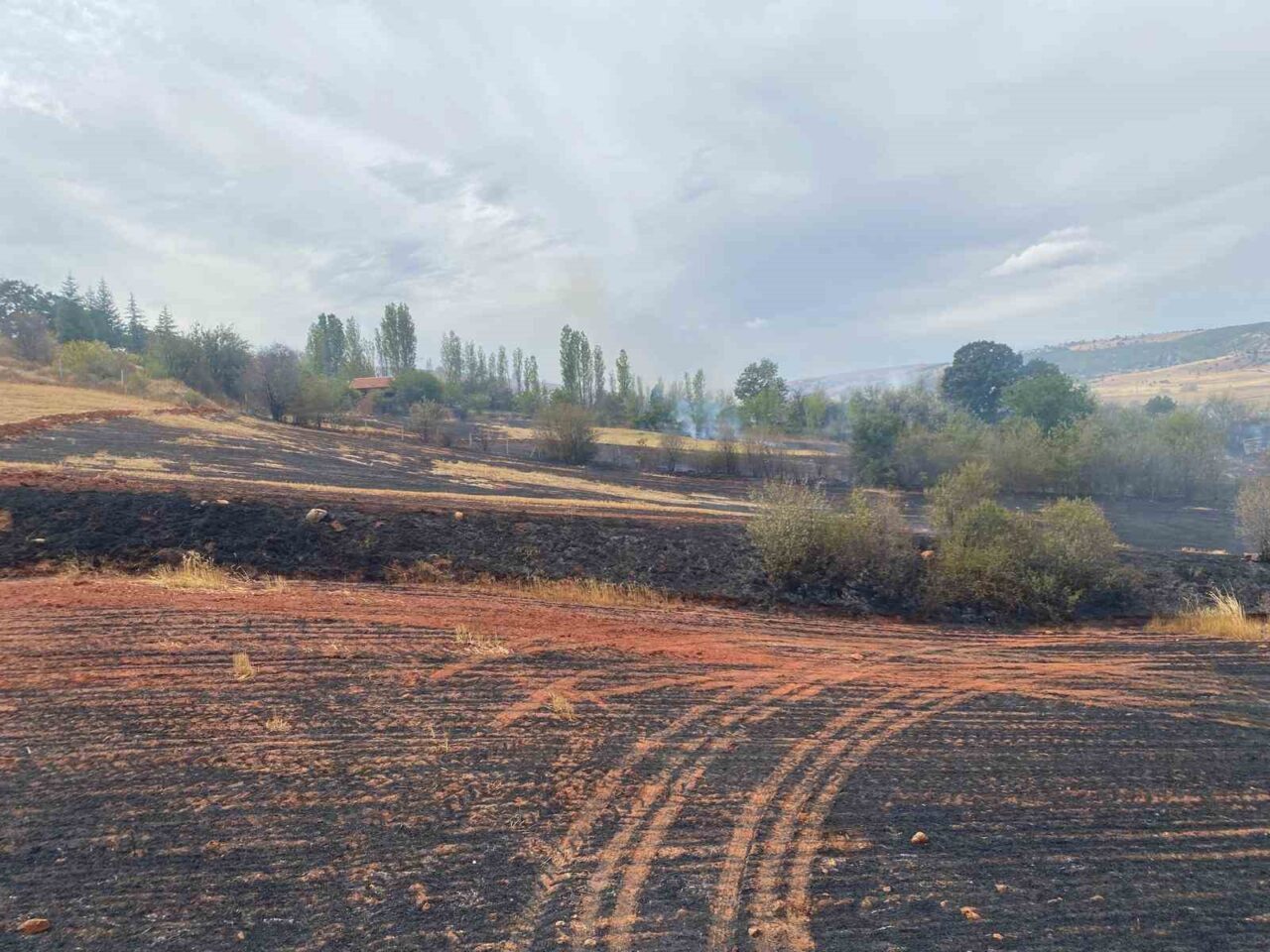 Çorum’da arazi yangını: 50 dönüm tarla ve 15 dönüm ağaçlık alan zarar gördü