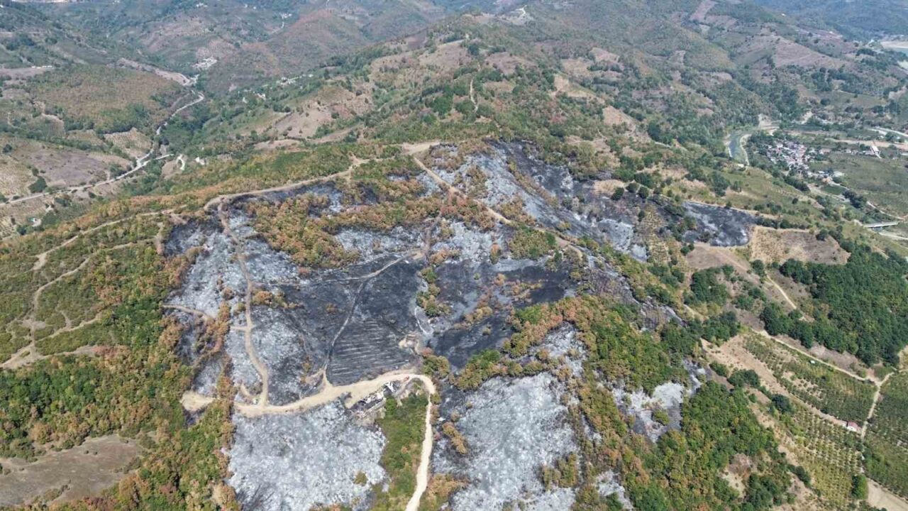 Düzce’deki yangının boyutu havadan görüntülendi