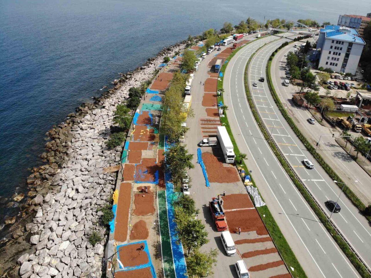 Giresun’da fındık hasadının ardından üreticilerin kurutma mesaisi sürüyor